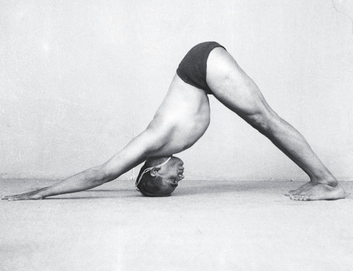 Adho Mukha Svanasana