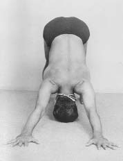 Adho Mukha Svanasana2